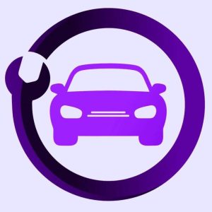 قالپاق وسط رینگ خودرو چیکال مدل P-278 مناسب برای MVM